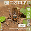 Unknown Title cover