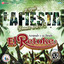 Y Sigue la Fiesta Rumbo a los 15. Música de Guatemala para los Latinos cover