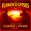 Adios Barcelona ( turn your head flamenco explosive love mix) - Dj sami