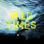 Wild Times cover