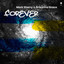Forever - Extended Mix
