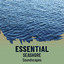 zZz Essential Seashore Soundscapes zZz cover