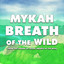 Breath of the Wild (From "The Legend of Zelda: Breath of the Wild") cover