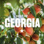 Best Of Georgia cover