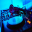 {"id":11120,"spotify_artist_id":"1PncD4BfDvlqpAPT8zYOg4","name":"Dj Joey","popularity":23,"checked":0,"images":"a:3:{i:0;O:8:\"stdClass\":3:{s:6:\"height\";i:640;s:3:\"url\";s:64:\"https:\/\/i.scdn.co\/image\/ab67616d0000b273f535627a2b579d01df085c8c\";s:5:\"width\";i:640;}i:1;O:8:\"stdClass\":3:{s:6:\"height\";i:300;s:3:\"url\";s:64:\"https:\/\/i.scdn.co\/image\/ab67616d00001e02f535627a2b579d01df085c8c\";s:5:\"width\";i:300;}i:2;O:8:\"stdClass\":3:{s:6:\"height\";i:64;s:3:\"url\";s:64:\"https:\/\/i.scdn.co\/image\/ab67616d00004851f535627a2b579d01df085c8c\";s:5:\"width\";i:64;}}","created_at":"2023-06-03T19:50:02.000000Z","updated_at":"2023-06-03T19:50:02.000000Z","pivot":{"track_id":15355,"artist_id":11120}} Dj River Flow in You Breakbeat Melody