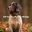 Soft Tune for a Morning with Dogs cover