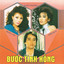 Bước Tình Hồng cover