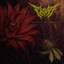 Welcome the Blossom cover