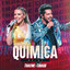 Química (Ao Vivo Em São Paulo / 2019 / Vol. 1) cover