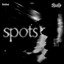 CM ZHWY04630000 - NHTSA - SPOTS