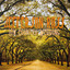 Jefferson Ross - Used to Being Me - Low Country Wedding