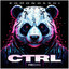 CTRL - Extended