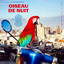 Oiseau de Nuit cover