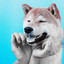 Piano Bossanova Duo (Music for Doggy Play Centers) cover