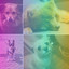 Carefree Backdrop for Soothing Your Dog cover