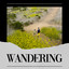 Wandering cover