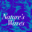 Waves by the Pier cover