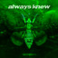 always knew - Extended Mix