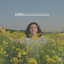 Relaxingly Vibrant Meditation Music Ideal for Meditation cover