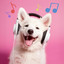 . - Spotty Dog Productions - HayLoft Country 30