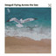 Seagull Flying Across the Sea cover