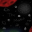 On The Moon cover