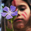 Primavera cover