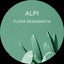 Paeonia