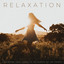 Relaxation: A Relaxing Yoga Class In The Middle Of The Forest cover