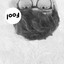Fool cover