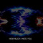 HOW MUCH I HATE YOU cover