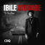 Ibile Mugabe cover