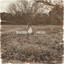 The Last Fairy - Charli Rose