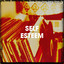 Self Esteem cover