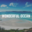 Wonderful Ocean cover