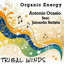 Antonio Ocasio — Organic Energy (feat. Jainardo Batista) cover art
