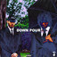 Downpour cover