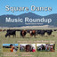 Virginia Reel - Extended Square Dance Music Fiddling Mix cover