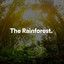 The Rainforest cover