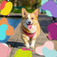 Background Music for Dreamy Pups cover