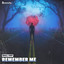 Remember Me cover