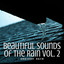 Ambient Rain: Beautiful Sounds of the Rain Vol. 2 cover