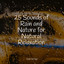25 Sounds of Rain and Nature for Natural Relaxation cover