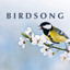 Great Tit cover