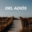 Del adiós cover