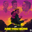 Are You Sure cover
