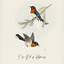 Day Full of Happiness - Birdsong Lovely Music cover