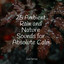 25 Ambient Rain and Nature Sounds for Absolute Calm cover