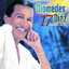 Lo Mejor 17 Grandes Exitos cover