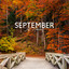 September Just Arrived: Soft and Calm Hang Drums for Peace of Mind & Stress-Free Daily Routine cover